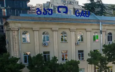 georgian american university